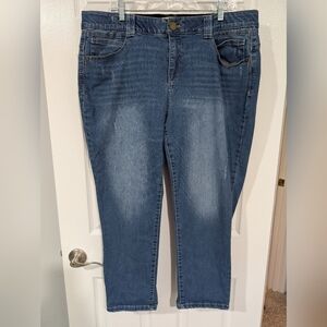 Democracy "Ab"solution Technology Distressed Medium Wash Straight Jeans Size 20W